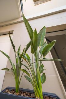 Run House 07 Rooms & Apartments - 1