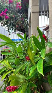 HOTEL AMADO - Aracaju - 0