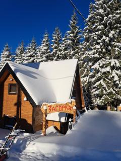Villa Zagorka and mountain houses A, M, D - Kopaonik - 0