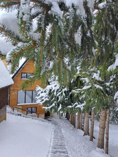 Villa Zagorka and mountain houses A, M, D - Kopaonik - 7