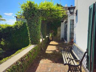 Naranjo en Flor. - Colonia del Sacramento - 6