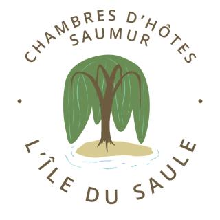 Chambres d'Hôtes de l'Ile du Saule - Saumur - 9