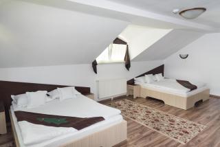 Casa Bradul Voronet - Voronet - 4