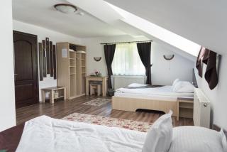 Casa Bradul Voronet - Voronet - 5