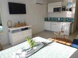 Bord de mer - Studio Papiyon - Le Gosier - 4