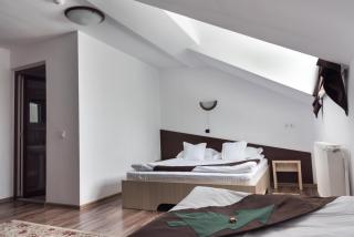 Casa Bradul Voronet - Voronet - 8