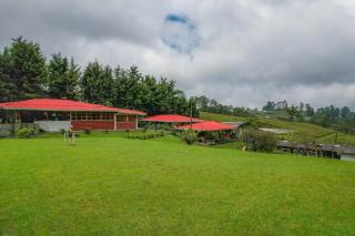Finca La Toscana - Pereira - 9