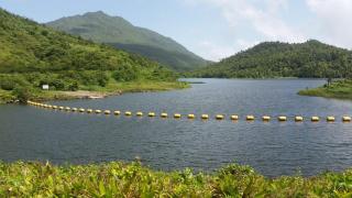 Tim's & Mag's Home Stay - Roseau - 5