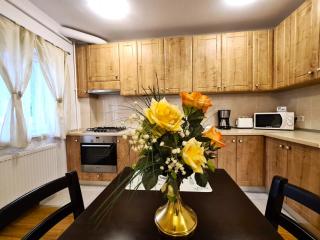 Apartament Giulio - Sibiu - 8