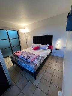 Appartement - Toulouse - 0