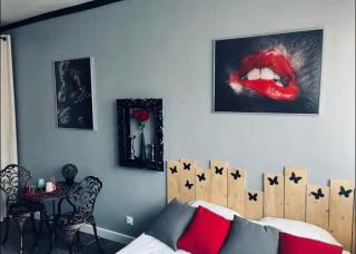 Orphelin studio avec Balnéo proche centre ville - Reims - 6