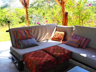Tarzan Treetops - Manzanillo - 7