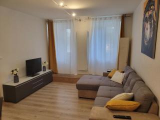 Dumur - centre ville Evian - 9