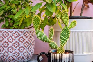 Studio Casa Di Christina - 8