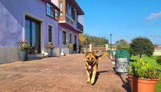 AG Casa de Aldea Laxe con jardín y playa a 7km - Reparada - 5