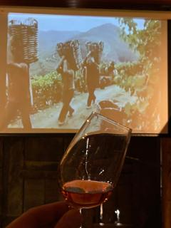 Casa dos Barros Winery Lodge by Vintage Theory - Sabrosa - 3