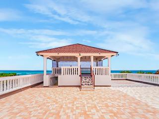 Scarlett near Kingston Airport - 2