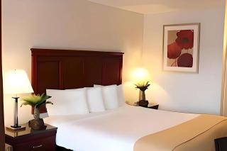 Rodeway Inn - Santa Clara - 7