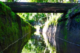 Seogwipo Beautiful Resort - 4