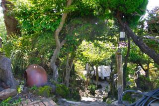 Seogwipo Beautiful Resort - 3