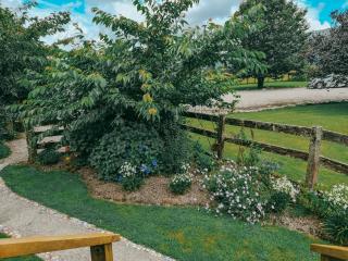 Rocky Creek Shepherds Hut - 6