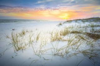 4 Br - 3 Ba Private Pool Putting Green - Destin - 9