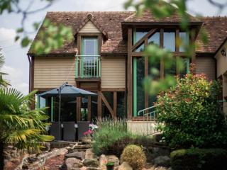 Gîte de charme avec SPA et cheminée, près du Mans, 7 chambres, WIFI, en bord de forêt de Vibraye - FR-1-410-308 - Dollon - 9