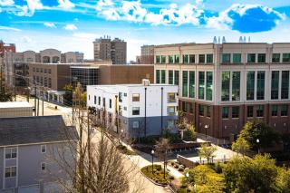 The Hive 101 King Suite Pet Friendly - Wilmington - 4