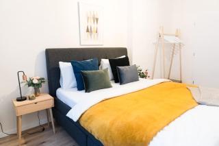 Deluxe 2BDRs Home in Spa District Center - Karlovy Vary - 7