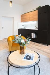 Deluxe 2BDRs Home in Spa District Center - Karlovy Vary - 6