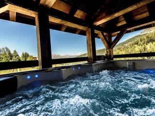Chalet de charme avec jacuzzi, sauna et wifi, proche des pistes - FR-1-181-2797 - La Plagne Tarentaise - 9