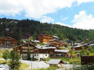 Chalet spacieux 15 pers. à Plagne 1800, au pied des pistes avec jacuzzi et sauna - FR-1-181-2791 - La Plagne Tarentaise - 6
