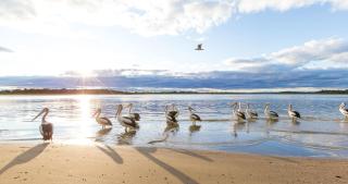 El Motor Inn - Port Macquarie - 6