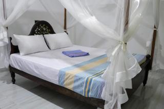 Nirwana Villa - Mirissa - 1