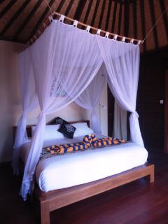 Bali Belva - 8