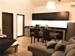 Sexy Nomad Luxury Studio, Kitchen & Wi-Fi in Umalas - Canggu - 9