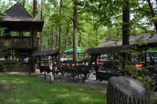 Cornul Vanatorului Bungalows - Piteşti - 5