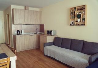 New Gudauri Apartment near the ski lift - Gudauri - 9