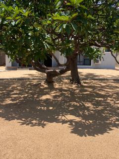 Capricorn Beachfront Cottage - Cape Maclear - 1