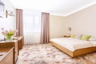 Hotel Sylwia - Sośnicowice - 1