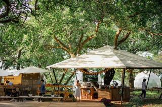 Tropical eglamping - 4