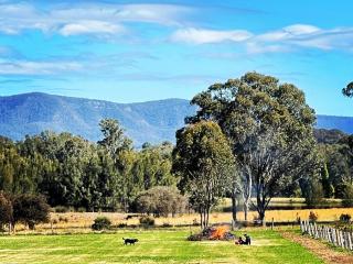 Copper Creek Retreat - sleep next door to the lions - Lovedale - 0