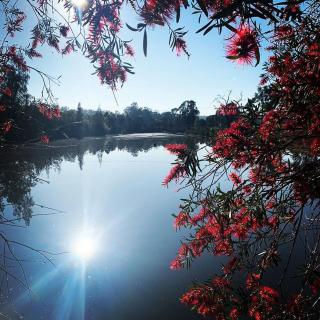 Copper Creek Retreat - sleep next door to the Lions - 1