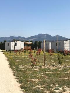 Camping des Favards - Violès - 9