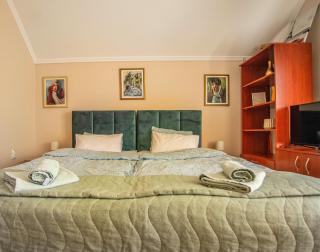 Garden Apartment 2 - Subotica - 6