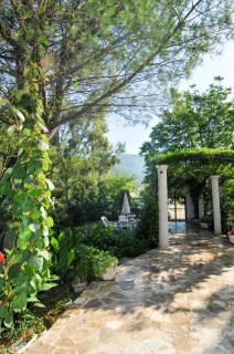 Apartments Villa Stankovic - Tivat - 4