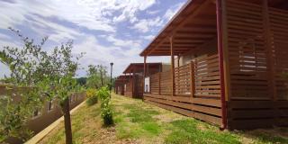 Camping Village Il Poggetto - Troghi - 5