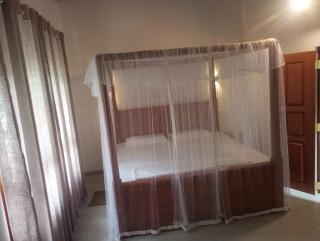 Jungle casa - Weligama - 3