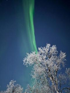 Trivelig hytte i Senja. - 7