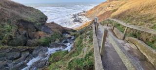 Le cottage sauvage - 5